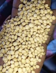 SOYABEANS GRADE A – product photo 3, product detail gallery