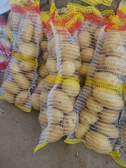Quality fresh onion and potatoes – product photo 10, product detail gallery
