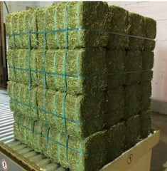 Fresh Broccoli Grade A Packaging bag Weight Range 200g–500g Heads Shelf Life 10–14 Days At 0–2°c Packaging Type 5kg / 10kg Perforated Cartons - Image 1