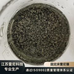 Stable Raney Nickel, 300g, for Continuous Catalytic Processes - Image 5