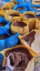 Cocopiber, cocopeat, briket, coconut Shell corchoal, coconibs. - Image 2