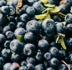 Frozen Bilberry - Image 1