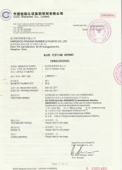 Paishun RoHS Certification certificate from Hangzhou Paishun Rubber and Plastic Co., Ltd.