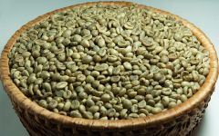 Grade 1 Arabica Green Coffee Beans from Java, Indonesia – 2026 Crop | FOB Export - Image 2