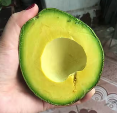 Avocado – product photo 1, product detail gallery