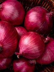 Onion – product photo 1, product detail gallery