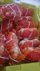 Lithodes Santolla - Chilean King Crab - Image 3