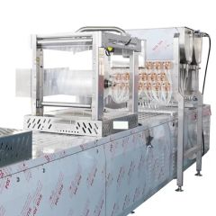 Continuous Servo Food Thermoforming Vacuum Packing Machine for Meat Deli Ham Bacon - Image 6