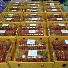 Rambutan Grade A Color Hairy Exterior Place of Origin Thailand Texture Sweet, Juicy Flesh Packaging Card Tray 4 x 500g Per Tray - Image 2