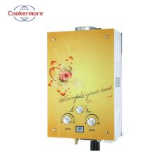 Reasonable Price Advanced Technology Forced Exhaust Gas Water Heater - Image 2