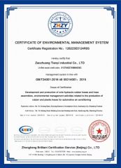 ISO 14001 certificate from Hangzhou Keyi Technology Co., Ltd.