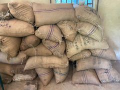 Cocoa beans – product photo 2, product detail gallery