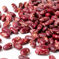 Red kidney Sugar Beans for sale  – product photo 1, product detail gallery