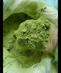 Moringa Powder - Image 1