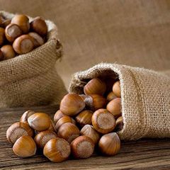 Wholesale Natural Hazelnuts Premium Bulk Supply Fresh Roasted Snack Healthy Delicious and Nutritious for Export - Image 5