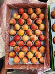 Fresh Apple Ph 3.5–4.0 Tss 11–15 °brix Moisture Content 80–85% Size 65–85 Mm (grade A) Weight Per Fruit 150–250 G Shape Uniform, Firm, - Image 1