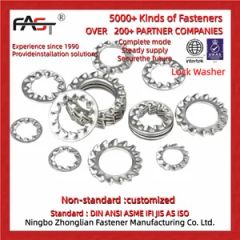 Metric Toothed Lock Washers with Internal Teeth - Image 1