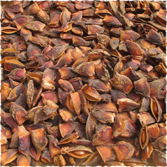 Broken Star Anise Place of Origin Vietnam Packaging 20-30kg PP-PE - Image 1