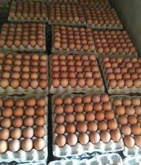 High Quality Fresh Brown & White Table Size Chicken Eggs Premium Produce - Image 4