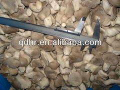 Frozen mushroom - Image 6