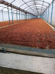 Cocoa Beans – product photo 1, product detail gallery