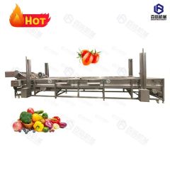 Different Model Washing Machine Fruit Cleaning Line Bubble Washing Machine - Image 1