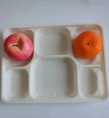 6 Compartments Compostable Disposable Cornstarch Tableware Lunch Takeout Box - Image 1