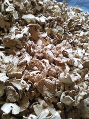 Dried Ginger - Image 1