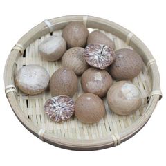 Supply High quality dried Betel Nut from Vietnam raw material fast delivery time best price – product photo 1, product detail gallery