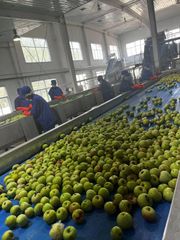 Deionized Apple Juice Concentrate Aroma Natural Color Neutral Brix Level 70+ Appearance Clear Acidity Balanced Brix Content Uniform - Image 2