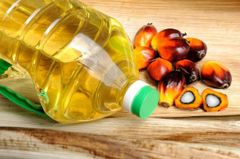 Palm Oil - Image 1