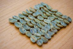 Arabica Coffee Beans