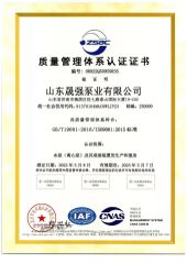 ISO certificate from Shandong Blossom Pump Co., Ltd.