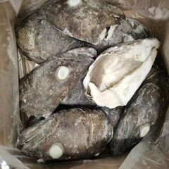 FROZEN FISH HEAD - Image 5