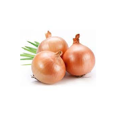FRESH ONION WITH THE BEST PRICE AND HIGH QUALITY 100% NATURAL FROM VIETNAM - Image 1