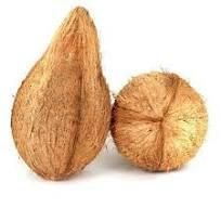 Semi Husked Coconut – product photo 2, product detail gallery