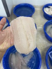 Frozen Pangasius Fillet 220-400 Size 9-12oz Net Weight - Image 4