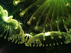 Light up LED Garden Flower Light Model NO. DS Trademark DSPOF HS Code 9405429000 Specification Custom Origin Jiangxi, - Image 6