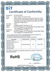RoHS certificate from Guangdong Flipsky Technology Company Ltd.