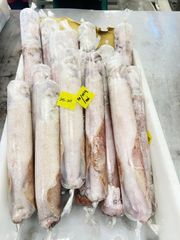 Squid Loligo IQF, IWP Type Frozen Grade Premium Shape Whole Round Processing Type IQF Content 100% Net Weight Place of Origin - Image 1