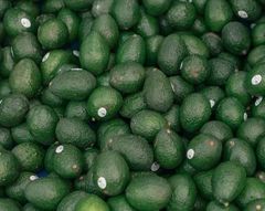 Avocado – product photo 1, product detail gallery