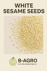 White Sesame Seed Grade - Image 2