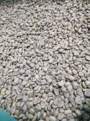 Premium Quality Malawi AA Mzuzu Maple Dried Fruit Arabica Green Coffee Raw Beans 1 kg bag Green Coffee Beans For Wholesale - Image 2