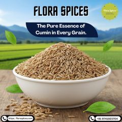 Premium Grade Cumin Seeds 99% Machine Clean;Premium Grade Cumin Seeds 99% Machine Clean – product photo 5, product detail gallery