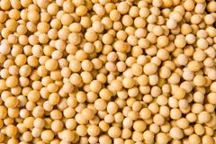 Premium Non-GMO Soybean-High Quality Organic and safe Soy Beans For Food and Feed - Image 5