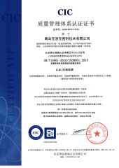 ISO9001 certificate from Qingdao Carlock Sealing Technology Co., Ltd