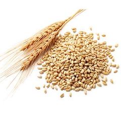 Rice Bran – product photo 1, product detail gallery