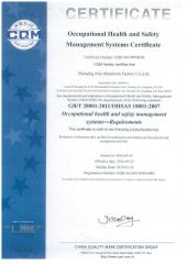 OHSAS 18001:2007 certificate from Guangdong Gemcy Technology Industry Co., Ltd.