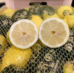 RELIABLE SUPPLY PREMIUM FRESH CITRUS LEMONS VIBRANT YELLOW COLOR 80mm,15KG CARTONS EXPORT GRADE - Sosa Merchant Solutions