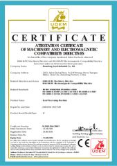 CE certificate of food processing machine certificate from Shandong Loyal Industrial Co., Ltd.